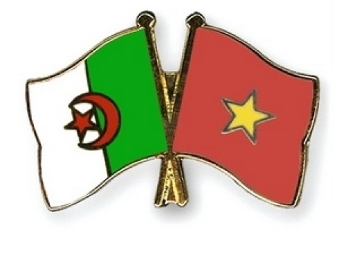 Vietnam, Algeria hold second political consultation - ảnh 1